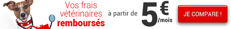 Comparateur assurance Devis Services
